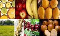 گوناگونی آب و هوایی اسپانیا برای کشاورزی